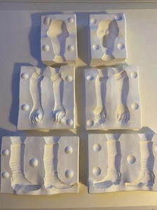 Slip Casting Mold CDC Geppetto Doll Company Head Arms Legs 274A 274B 274C - Picture 1 of 17