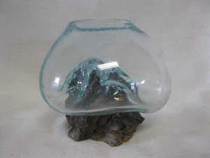 Cohasset Small Molten Glass & Driftwood Sculpture For Terrarium, Vase, Aquarium - Picture 1 of 9