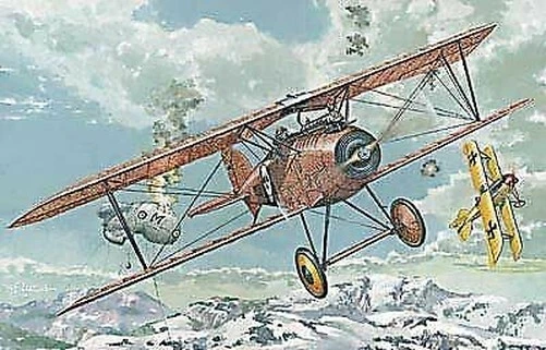 Roden 024 - 1:72 Albatros D.III Oeffag S.153 (Early) - Nuovo - Immagine 1 di 1