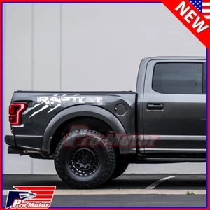 Universal fit Rapto Truck Bedside Tailgate Side Door Skirt Decal Sticker Vinyl w - Picture 1 of 2