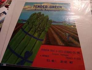 Tender Green Fresh Asparagus - Picture 1 of 1