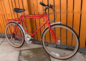 1990 Raleigh Euro • Time Capsule • Original Parts • Vintage ATB - Picture 1 of 24
