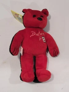 Dale Earnhardt & Jr. NASCAR Collectible Bear ~ 2 Sided Bear With Plastic Case - Picture 1 of 13