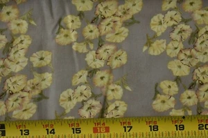 By 1/2 Yd, Yellow Morning Glories on Lt-Brown Quilt Cotton, Moda/Pandolph, P1686 - Picture 1 of 5