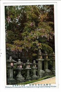 CPA-Carte Postale -Japon Nara- Kasuga Shrine- Wisteria Flowers and stone Lantern - Picture 1 of 2