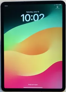 TESTED GSM UNLOCKED APPLE iPad PRO 1ST GEN 11", 256GB A2013 MU122LL/A iOS 17.3.1 - Afbeelding 1 van 9