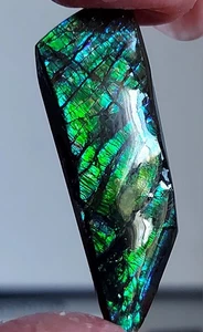 Piedra recubierta de amonita ammolita 38,5x13x5 mm 19199 - Imagen 1 de 4