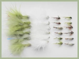 Winter Forellen Angeln Fliegen, 24er Pack, Blue Flash, Katzen, Tungsten & GH Nymph, #10 - Bild 1 von 11