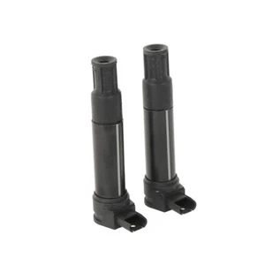 Twin Ignition Coil Fit For BMW R1150GS R1150RS R1150R R1150RT R1150 R1100S 04-10 - Picture 1 of 7
