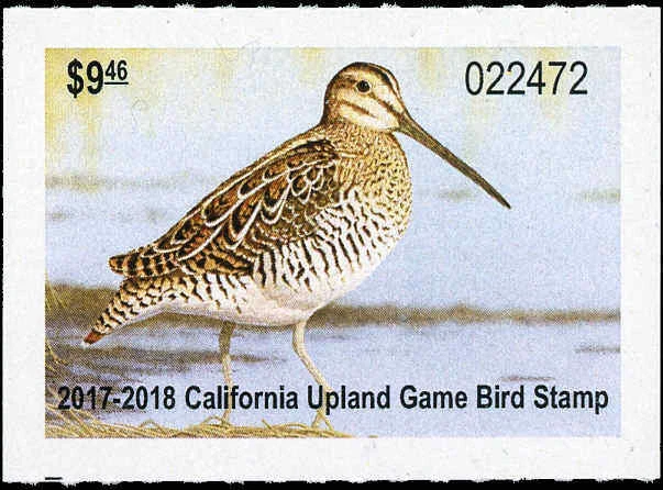 CALIFORNIA  #25U  2017 UPLAND GAME WILSON'S SNIPE by Jeffrey Klinefelter - Image 1 of 1