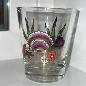 Catalina Island California Shot Glass, 1984 Vintage Souvenir Travel - Picture 1 of 2