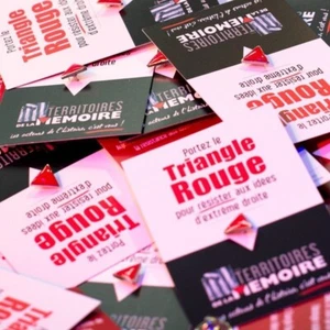 Pin's Pins Triangle Rouge Contre Extrême Droite et Symbole Ouvrier Mélenchon - Afbeelding 1 van 1