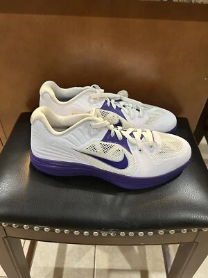 Nike Lunarlon 2012 Púrpura Zapatillas de Rendimiento de caña baja Para Hombre Talla US 12 542355-109 Foto 1 de 4