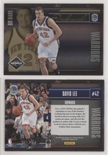 2010-11 Panini Limited Team Trademarks Spotlight Gold /24 David Lee #4