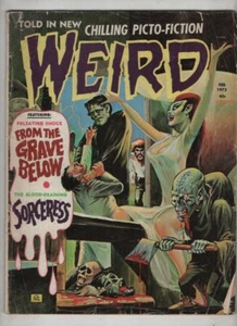 Weird Eerie Publish From The Grave Below February 1973 061721nonr - Picture 1 of 1