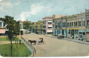 ROBLE ROJO IA - Postal de la calle Coolbaugh - 1909 - Imagen 1 de 2