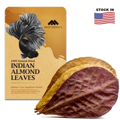MATCHIMAA Dried Indian Almond Leaves For Aquarium Betta Fish Shrimp Catappa 50g. - Image 1 of 4