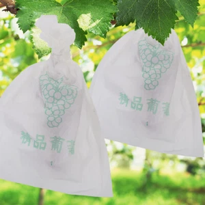 100 Stück Trauben Papier Schutz Grow Beutel Mottensicher Wasserdicht Beutel Kindergarten Tasche - Bild 1 von 12