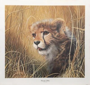 Charles Fracé, Cheetah Kitten, Lithograph, signed in pencil - Picture 1 of 3