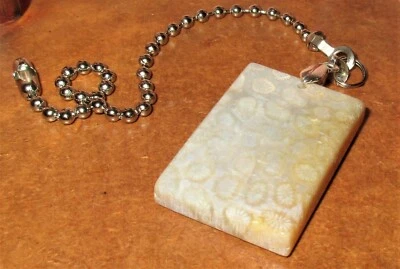 CHAIN FAN PULL Ceiling Light 6in 15cm USA Chrysanthemum Coral Fossil square cut - Image 1 of 4