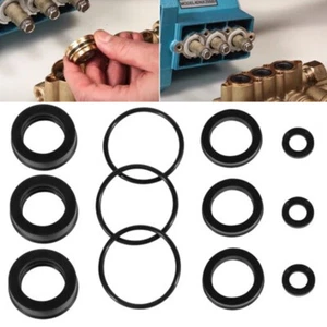 76975 Seal Kit Cat Pump Seal Kit for 4DNX Pumps Model 4DNX25GSI 4DNX27GSI - Picture 1 of 7
