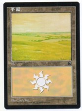 MTG S-Chinese Plains (A) Alternate Art Portal NM