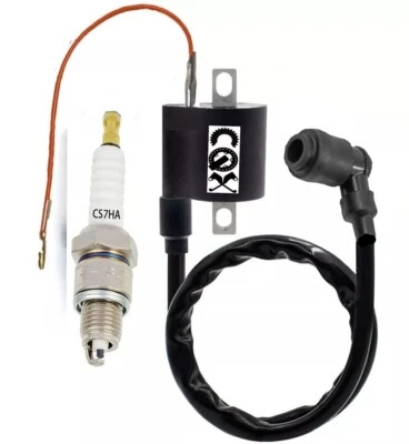 Bobina de encendido + bujía Yamaha PW50 PW80 Y-Zinger 1981-2014 motocicleta Foto 1 de 3