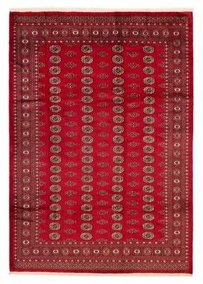 Vintage Bordered Hand-Knotted Area Rug 7'1" x 10'0" Traditional Wool Carpet - Image 1 of 4