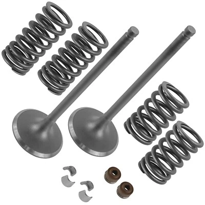 2x Intake Valve Kit for Honda Rincon 680 TRX680 4x4 2006 2007 2008 2009-2022 - Image 1 of 4