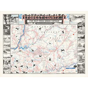 Map King 1957 Allegheny Forest Country XL Wall Art Canvas Print - Picture 1 of 6