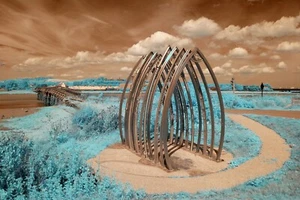 Nikon D60 Infrared converted 590nm Goldie, Super colour. DSLR infrared Body only - Picture 1 of 12
