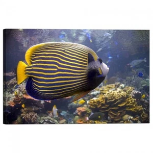 Peinture Impression sur Toile Avec Cadre Poissons - Imagen 1 de 1