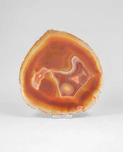 Natural [Unstained] Agate Slice 196mm - Picture 1 of 5