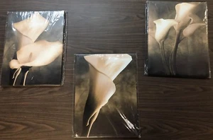 Canvas Print Painting Picture Wall Art Home Decor Flower framed 30x40cmx3 - NEW! - Picture 1 of 5