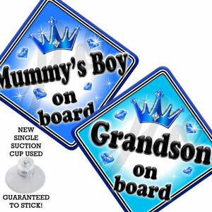 MULTI  GEM PRINCE  GRANDSON  Blue Personalised Novelty Baby on Board Car Sign