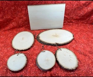 Lot Basswood Country Rounds by Walnut Hollow Wood Cookie Rectangular armadillo - Picture 1 of 12