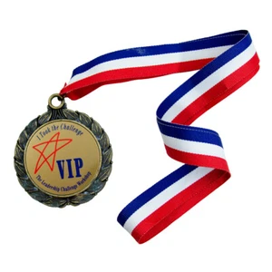1985 VIP Leadership Challenge Workshop Award Medal Striped Neck Strap Ribbon - Picture 1 of 2