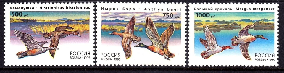 Russia 1995 Ducks Complete Mint MNH Set SC 6284-6286 - Image 1 of 1