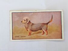 DOGS: 1907 Sniders & Abrahams Peter Pan cigarettes card - Dandie Dinmont GOLD VG