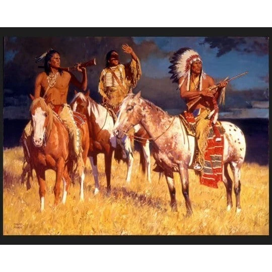 STORM OVER the PLAINS - Nativo americano - Panel de edredón de tela - 100 % algodón Fabri Foto 1 de 1