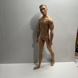 Barbie Ken Modem Hair Latino Med Skin Tone Model Muse Body, wunderschön - Bild 1 von 14