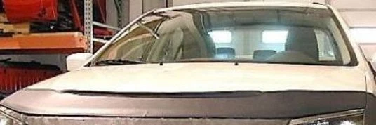 Mini sujetador protector de capó Lebra para Ford Fusion 2010 2011 2012 10 11 12 Foto 1 de 1