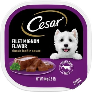 CESAR Wet Dog Food Filet Mignon Flavor, 3.5 oz. Pack of 24 For Adult Dogs - Picture 1 of 9