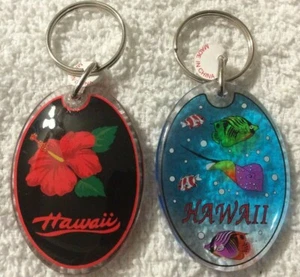 HAWAII Keychain Souvenir Key Ring - 2 keychains - Foto 1 di 2