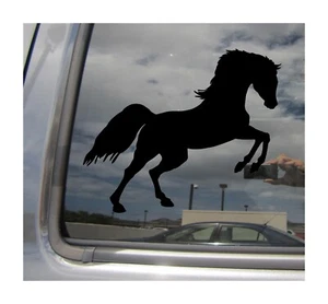 Arabian Horse Silhouette - Adesivo per finestra decalcomania vinile auto camion 50003 - Foto 1 di 1