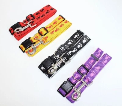 Juego COLLAR y CORREA Perro Cachorro Plomo Entrenamiento Ajustable Nylon S/M CUELLO 12" - 18" Foto 1 de 3