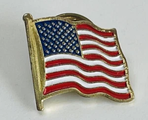 Waving Flag USA American Pin Lapel Patriotic - Picture 1 of 4