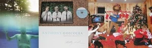 Anthony Goicolea - Picture 1 of 1