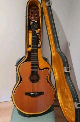 Takamine EN-30C  Akustikgitarre  mit  Original Koffer - Bild 1 von 4