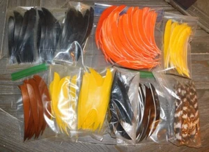 300 Pc Lot 5" Right Wing Natural Archery Feathers Parabolic Cut Fletching - Picture 1 of 4